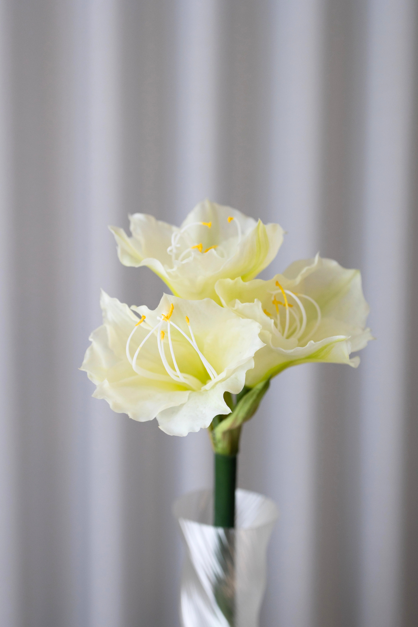 Kunstig amaryllis - hvid